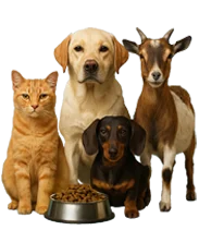 Pet supplies